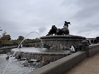 IMG_7733