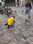 IMG_7741