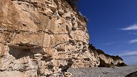 IMG_7832