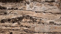 IMG_7834