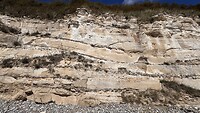 IMG_7835