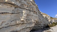 IMG_7839