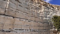 IMG_7845