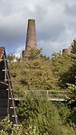 IMG_7854