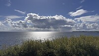 IMG_7867