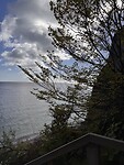 IMG_7880