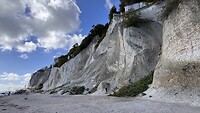 IMG_7885