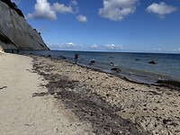 IMG_5009