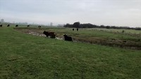 Walk of Wisdom, tweede deel