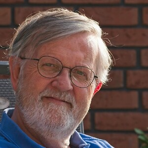 Willem Brok