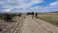 Dag 8 Logroño