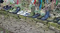 Etappe 2 Meer natuur inclusief bedwantsen