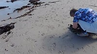 Strandwandeling