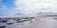 Strand 2