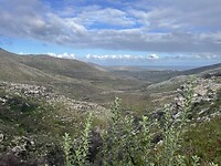 Muizenberg