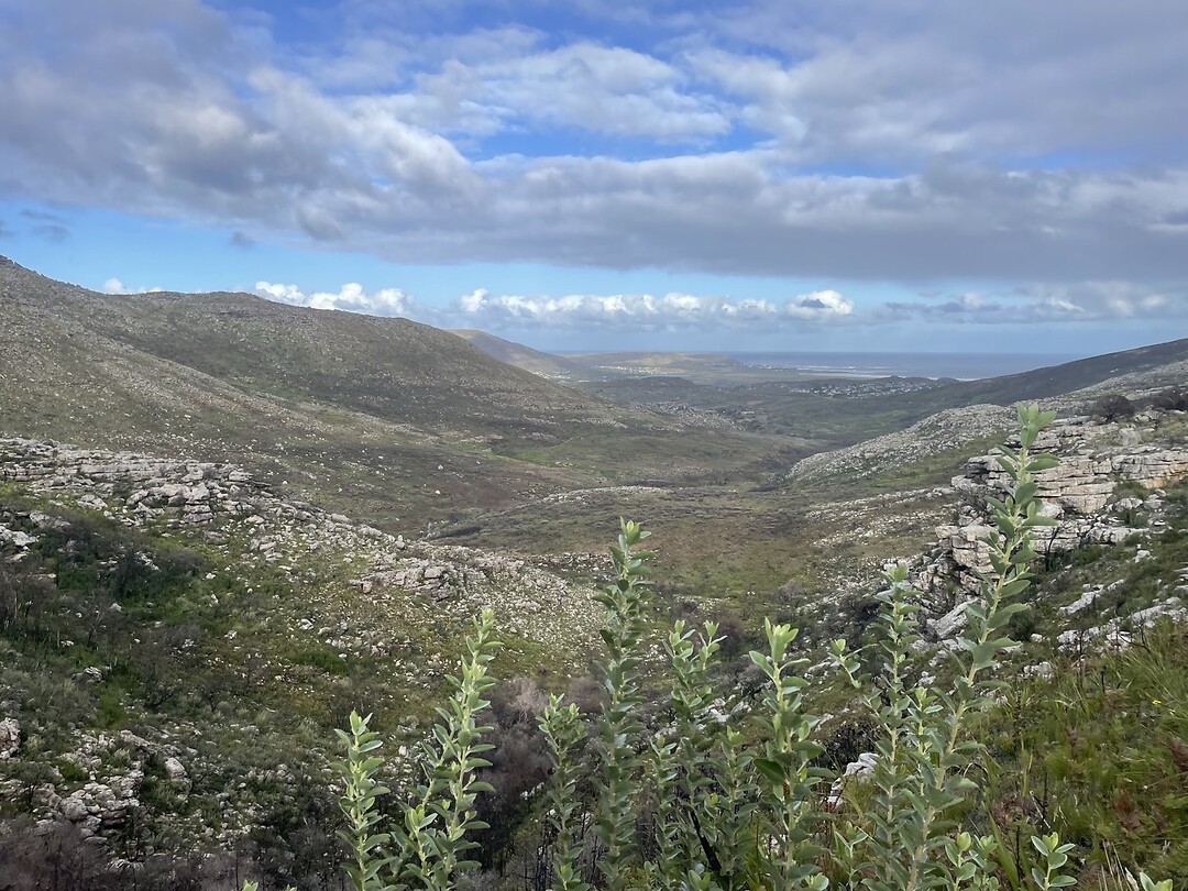 Muizenberg
