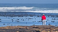 IMG_5095