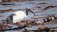 IMG_5094