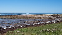 IMG_5093