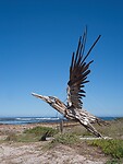 IMG_5092