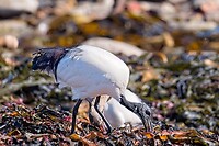 IMG_5091