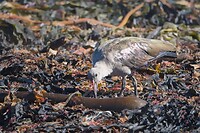 IMG_5089