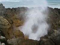 Blowhole