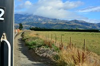 TranzAlpine Express: