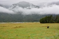 Tranzalpine