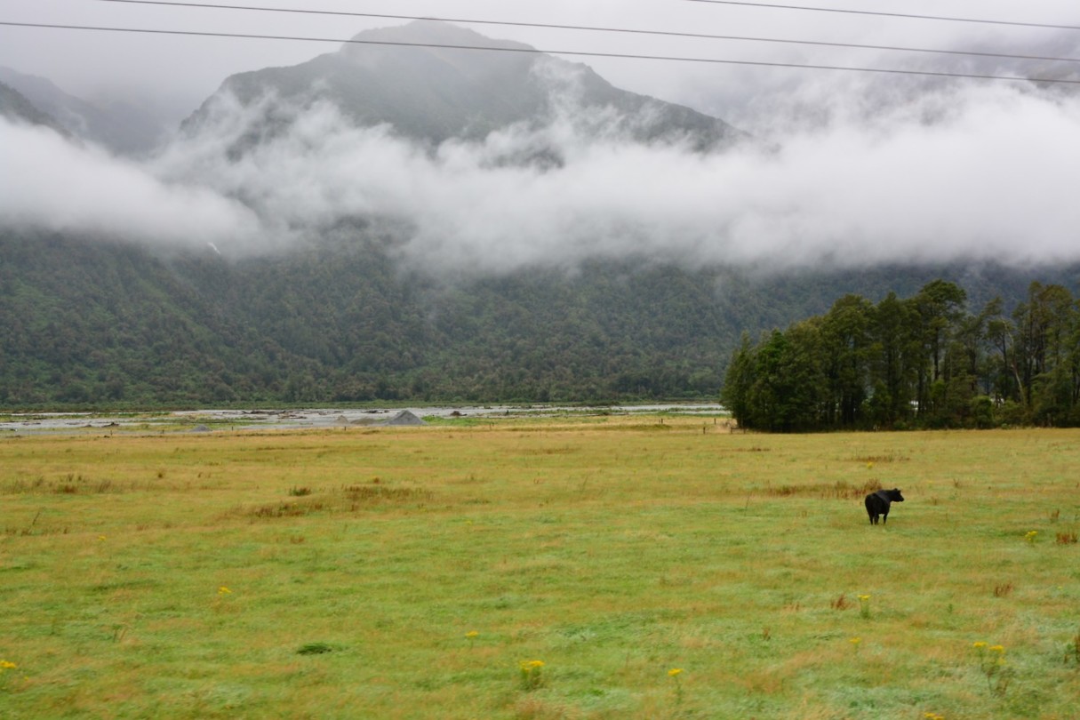 Tranzalpine