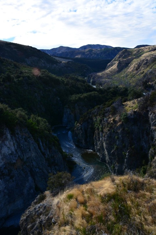 Tranzalpine