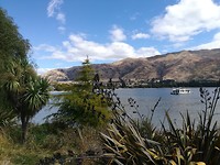 Lake Wanaka