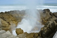 9138 blowhole serieopname