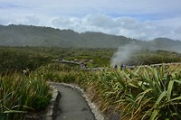 Punakaiki