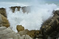 9150 blowhole serieopname