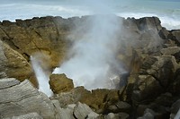 9148 blowhole serieopname