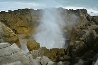 9146 blowhole serieopname
