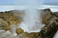 9137 blowhole serieopname