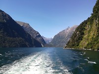 Milford sound.