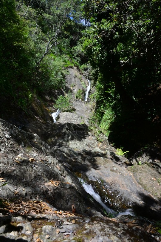 Whakatane waterval