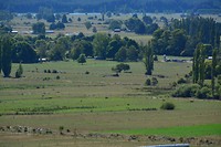 Overview from the hill