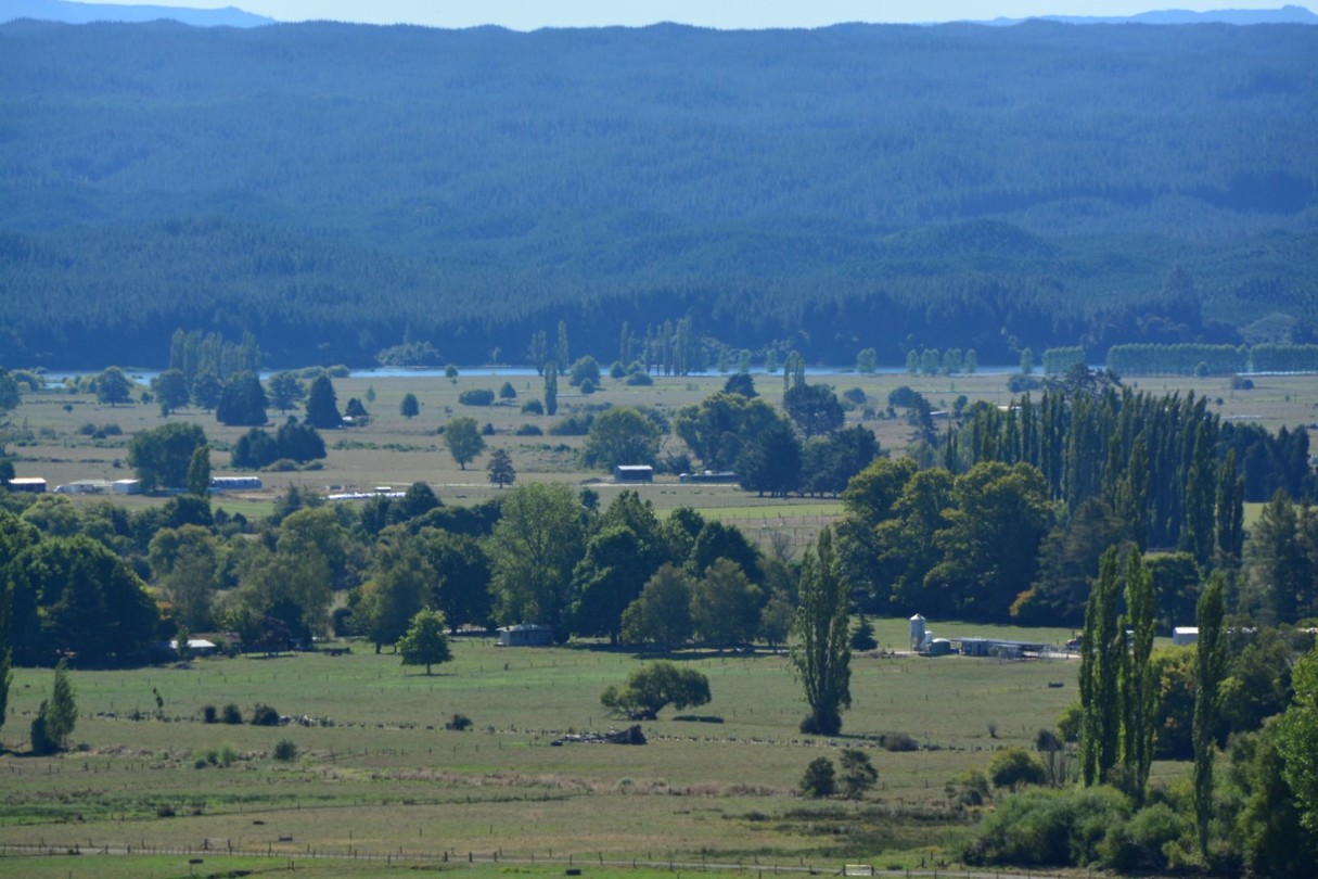 Overview from the hill
