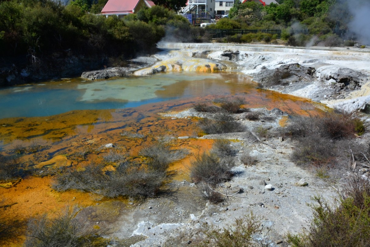 Whakarewarewa: thermaal meertje van 100 C