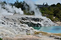 Whakarewarewa: een van de geisers die echt spuit zonder zeepsop.