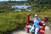 Whakarewarewa: uitzicht over de thermen