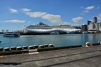 Cruise terminal