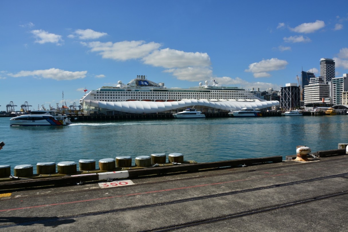 Cruise terminal