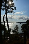 Auckland westhaven