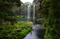 Whangarei watervallen
