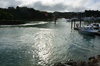 Tutukaka haven